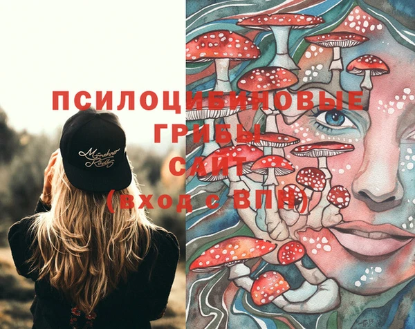 круглые Бронницы
