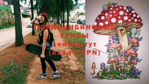 круглые Бронницы