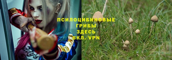 скорость mdpv Бородино