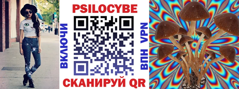 Галлюциногенные грибы MAGIC MUSHROOMS  Купить где  Спасск-Дальний 
