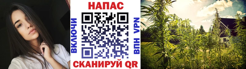 Шишки марихуана VHQ  Купить закладки  Спасск-Дальний 
